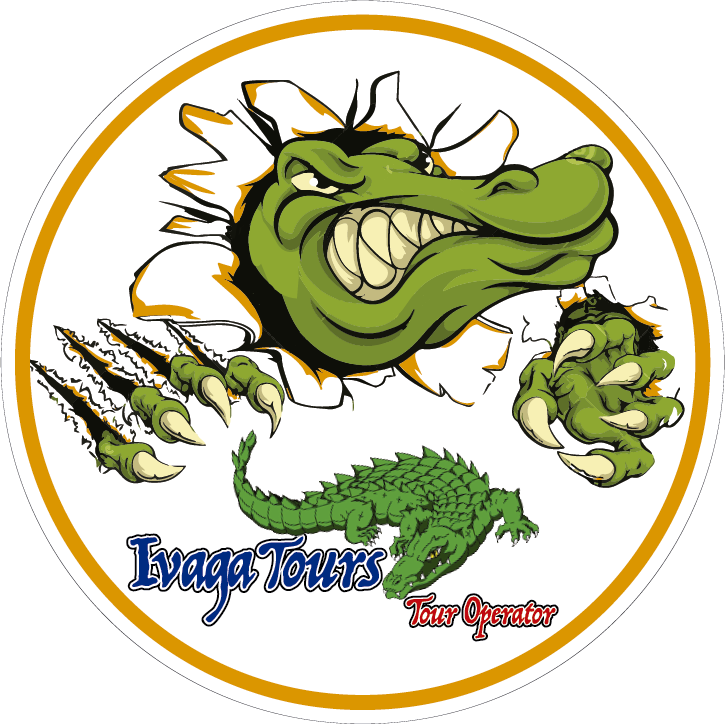 Animated Crocodile Tour Operator Logo PNG