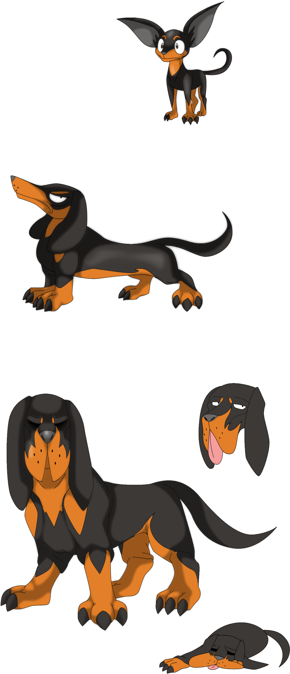 Animated Dachshund Expressions PNG