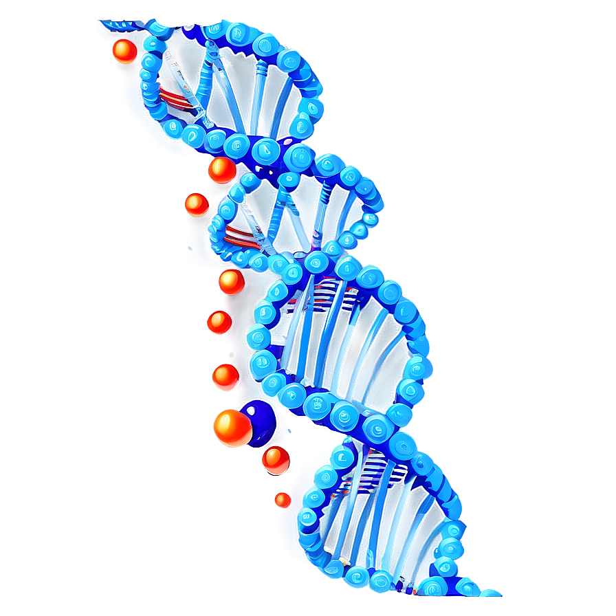 Animated Dna Spiral Png 05242024 PNG