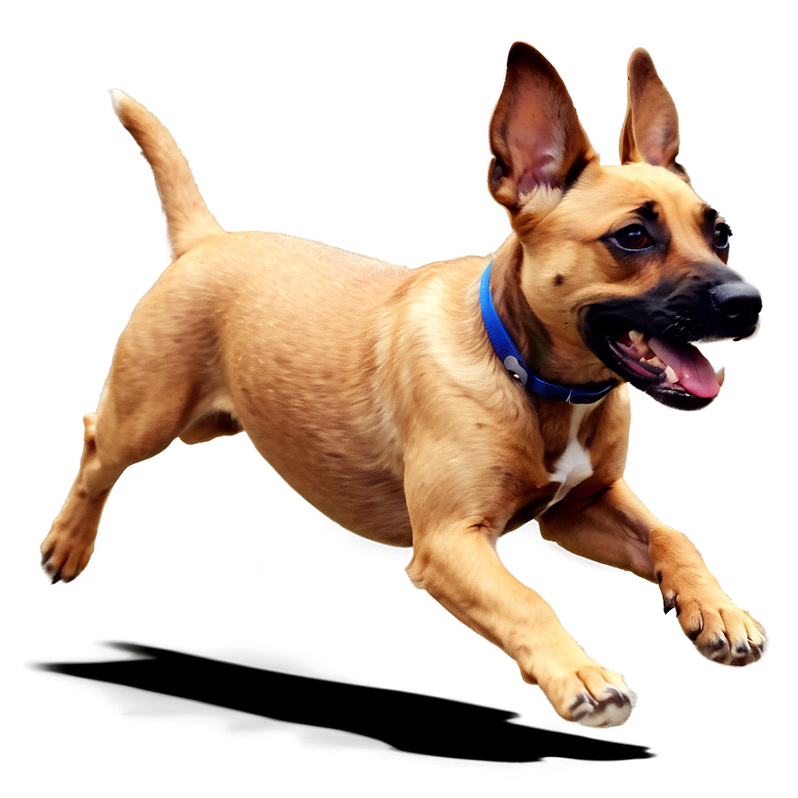 Animated Dog Running Png 55 PNG