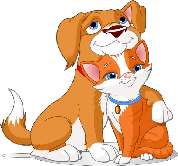 Animated Dogand Cat Friends PNG