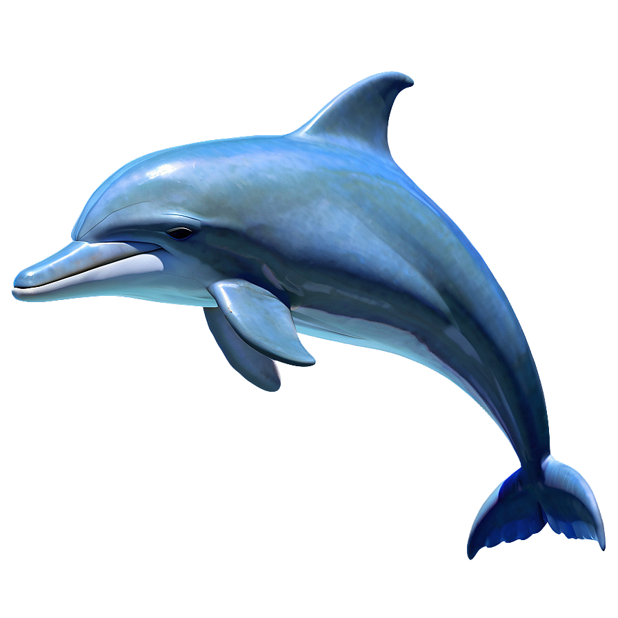 Animated Dolphin Png 10 PNG