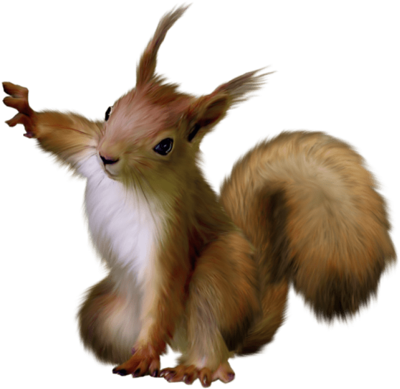 Animated Fluffy Squirrel Illustration PNG