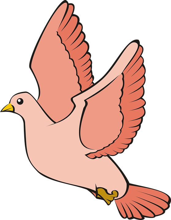 Animated Flying Pigeon Illustration PNG