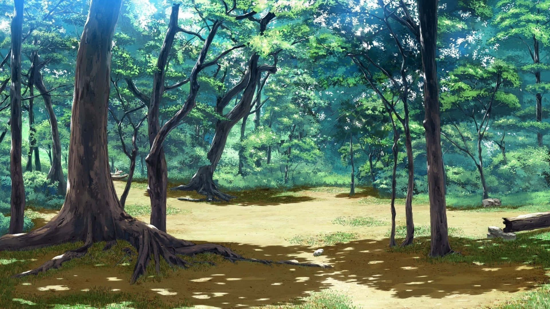 A Forest With Trees And Grass In The Background