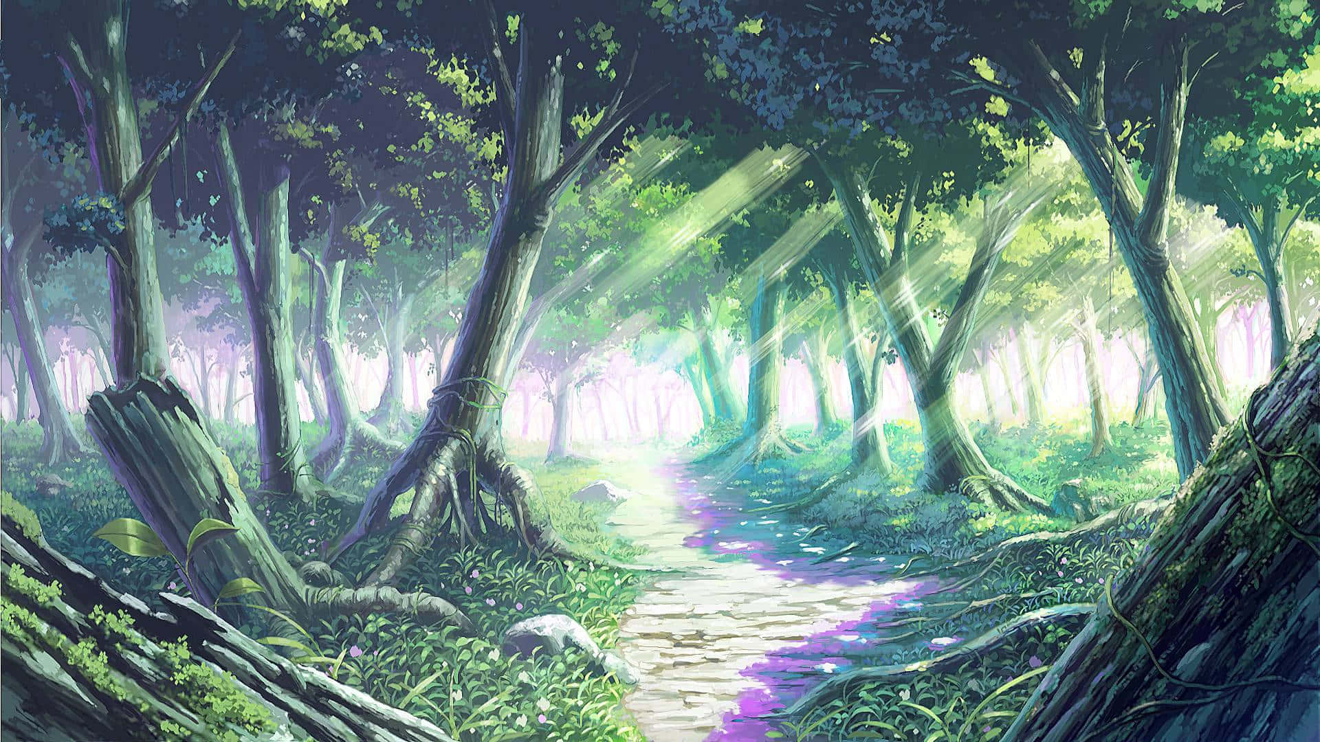 A Path Through The Forest With A Purple Light Shining Through It