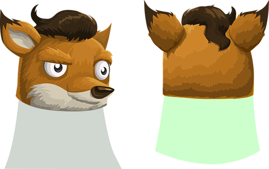 Animated Fox Character Frontand Back View PNG
