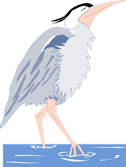 Animated Heron Wadingin Water PNG