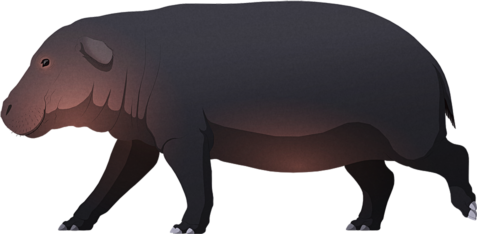 Animated Hippopotamus Side View PNG