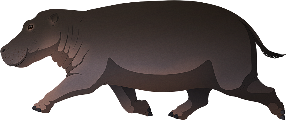 Animated Hippopotamus Walking PNG