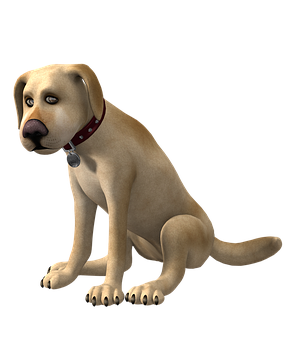 Animated Labrador Retriever Sitting PNG