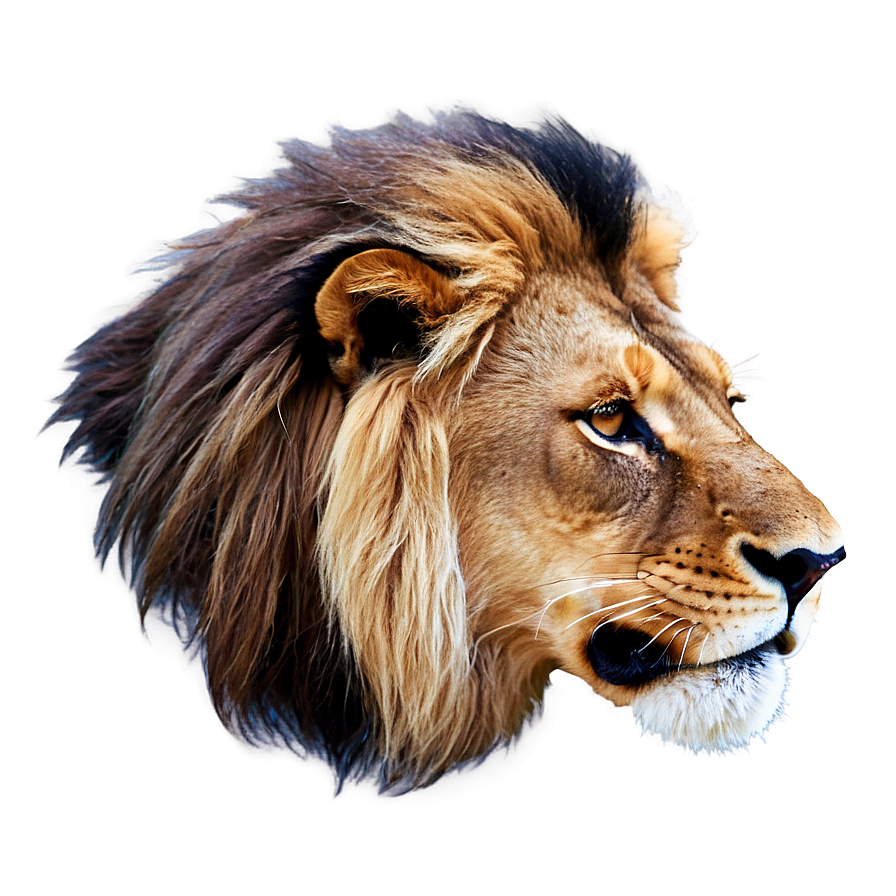 Animated Lion Face Png 06122024 PNG