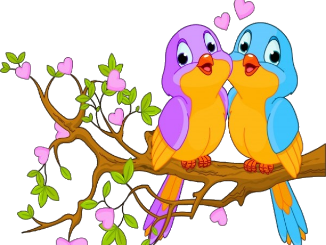 Animated Love Birdson Branch PNG