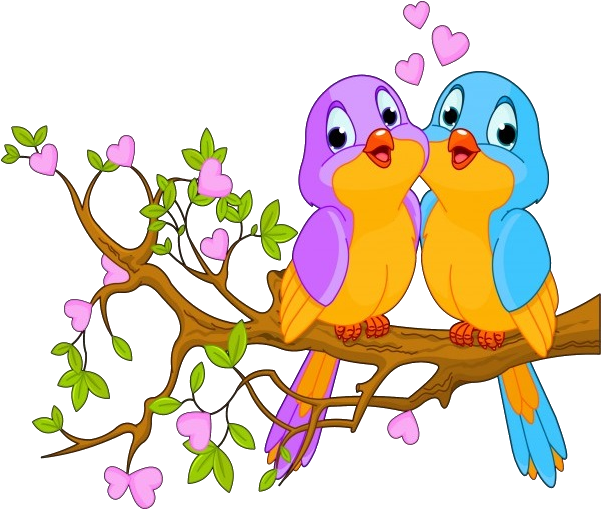 Animated Love Birdson Branch PNG