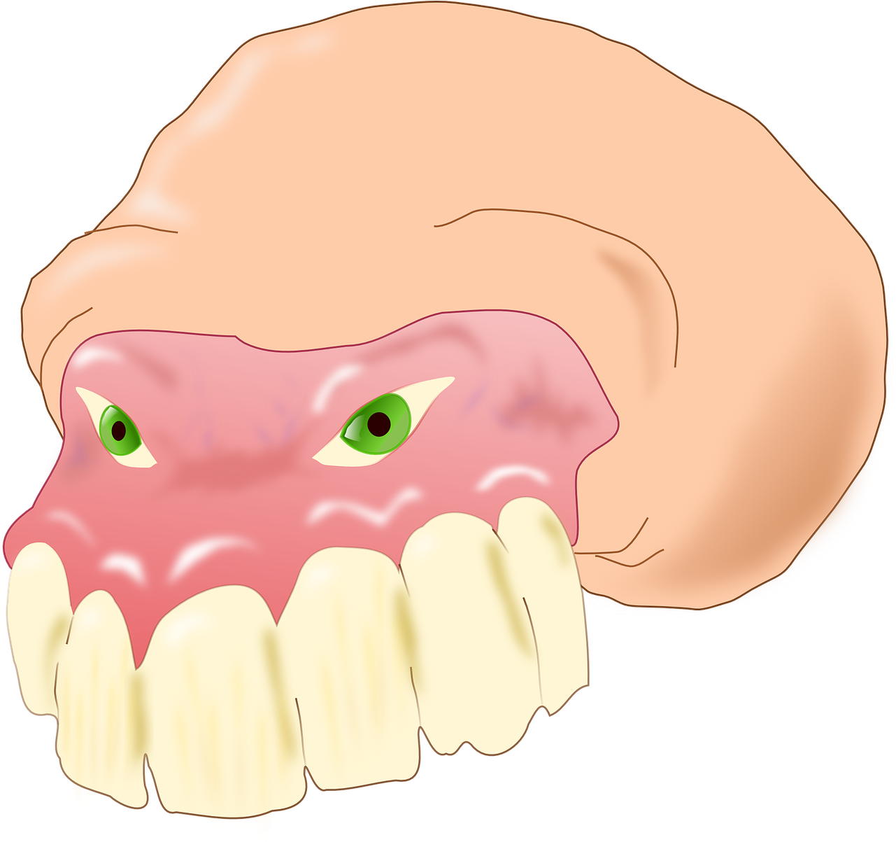 Animated Molar Toothwith Gums PNG