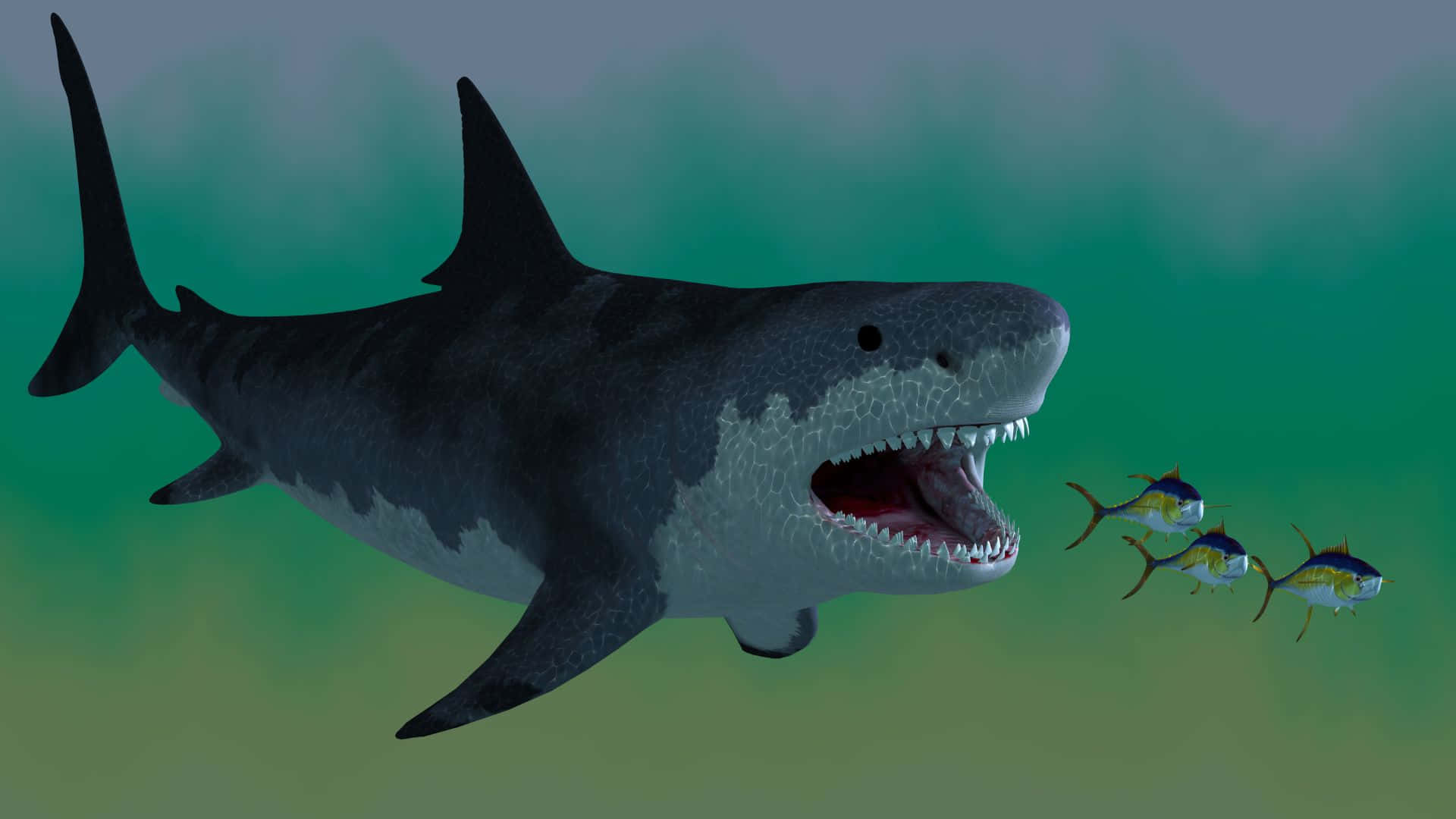 Papelde Parede Animado Do Monstro Tubarão Preto. Papel de Parede
