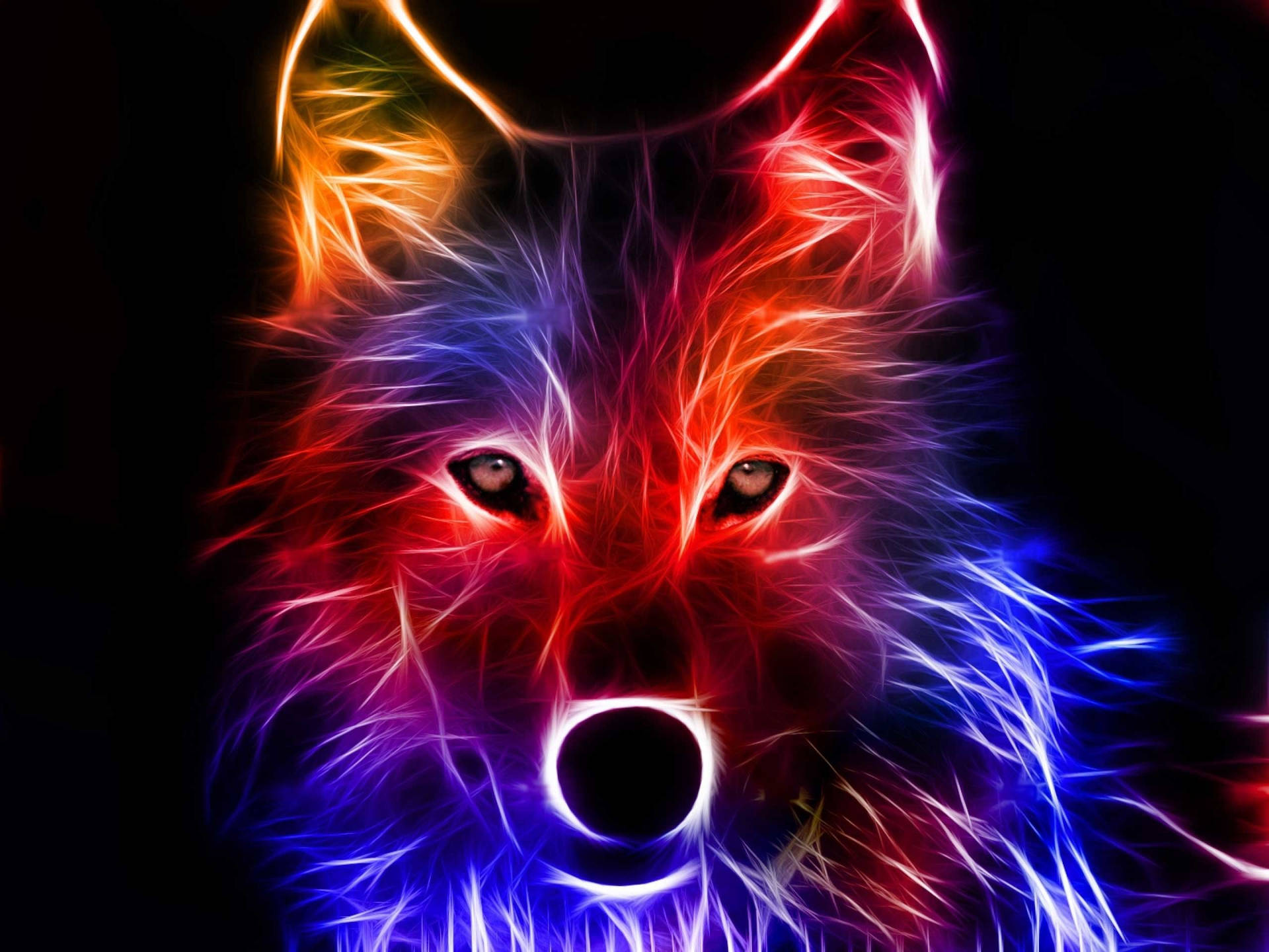 A wolf made up of neon-colored strokes, animated HD wallpaper.