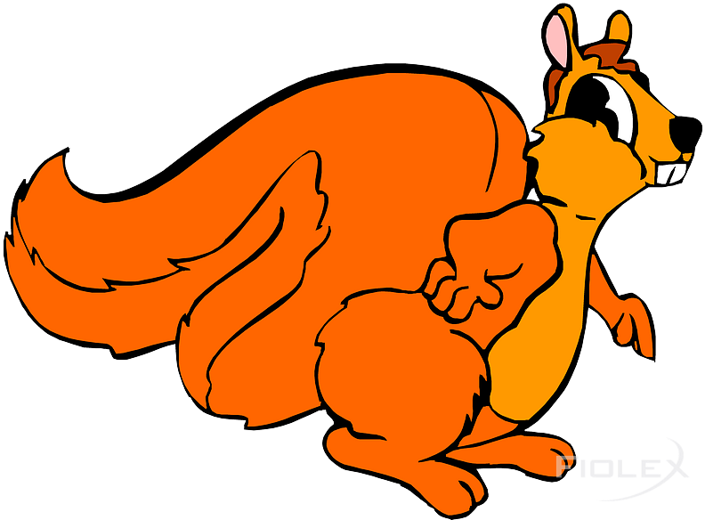 Download Animated Orange Squirrel Cartoon | Wallpapers.com