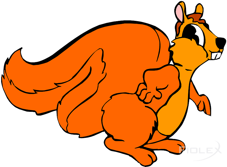 Animated Orange Squirrel Cartoon PNG