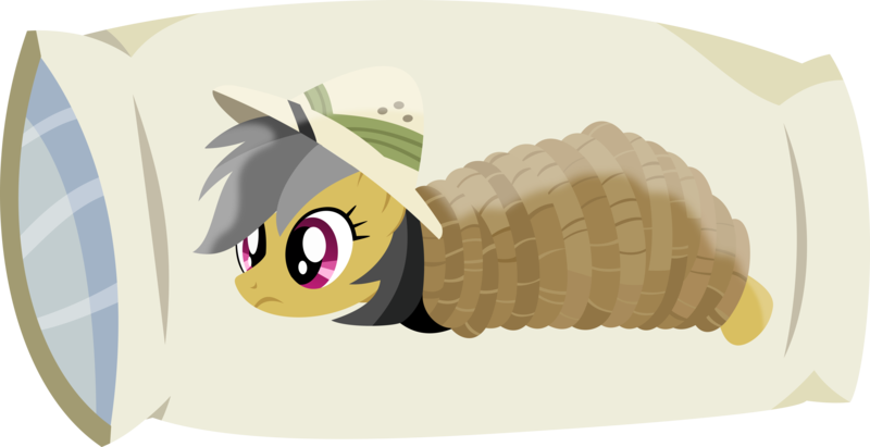 Animated Pony Body Pillow PNG