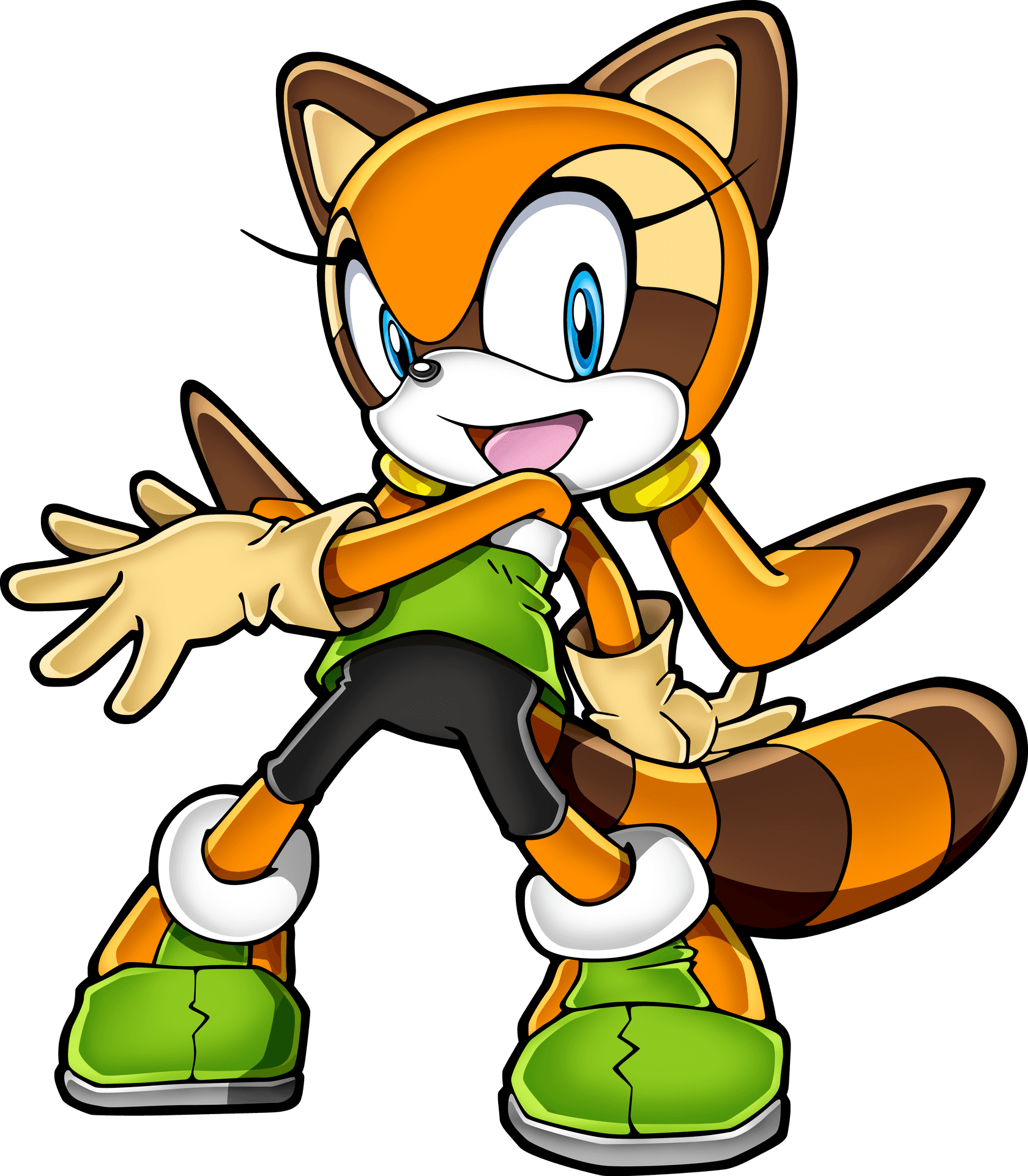 Animated Raccoon Character Pose PNG