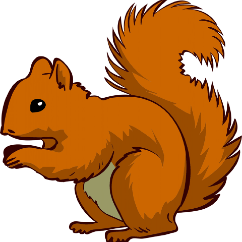 Animated Red Squirrel Illustration.png PNG