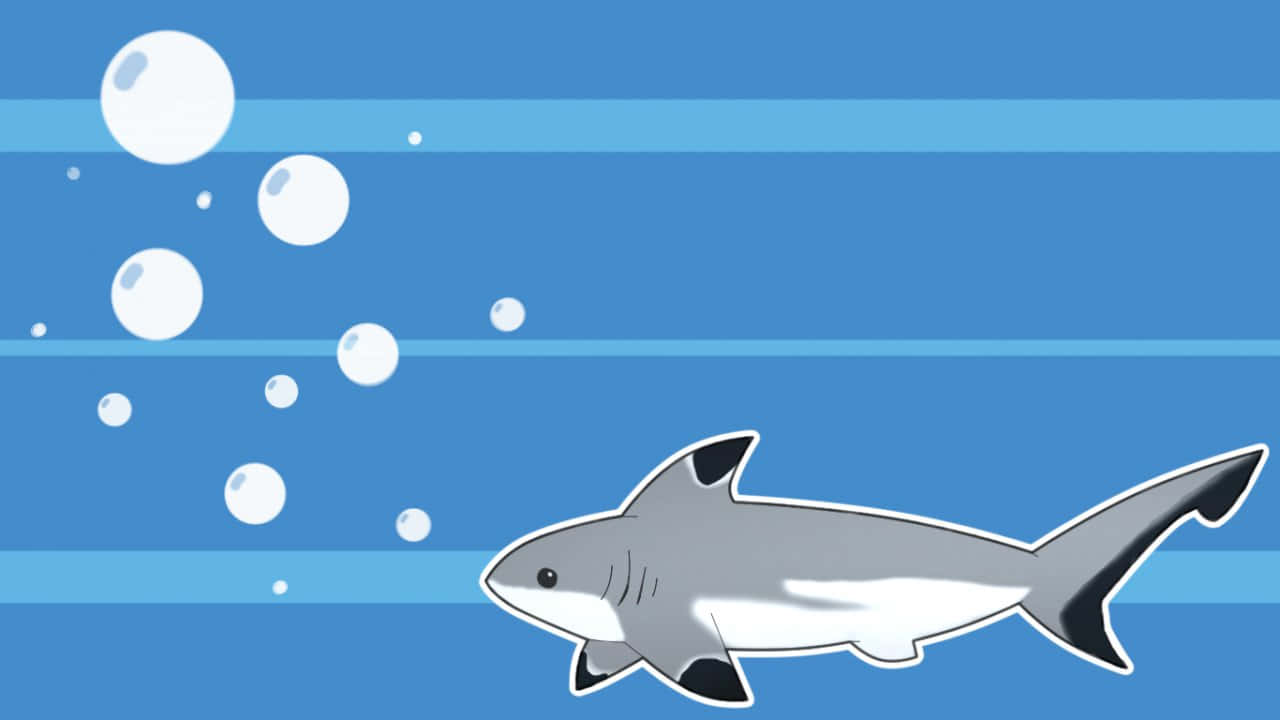 Animated Reef Shark Swimming Wallpaper