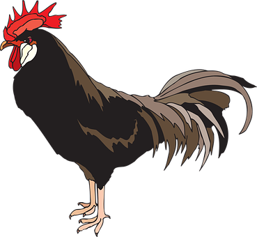 Animated Rooster Profile PNG