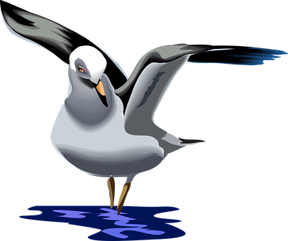 Animated Seagull Graphic PNG