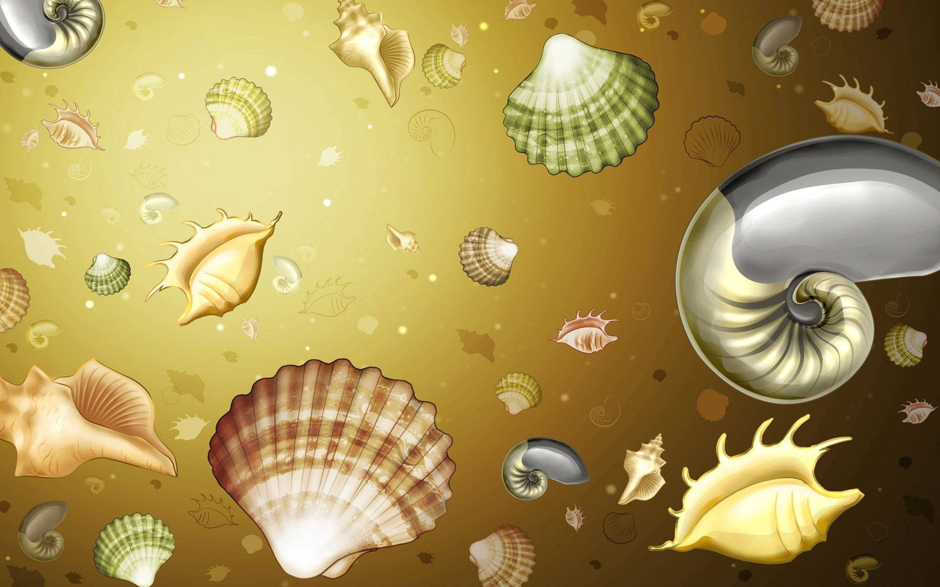 Animated shells image wallpaper.