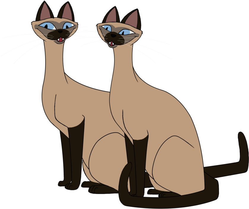 Animated Siamese Cats Illustration PNG