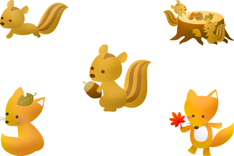 Animated Squirrel Collection PNG