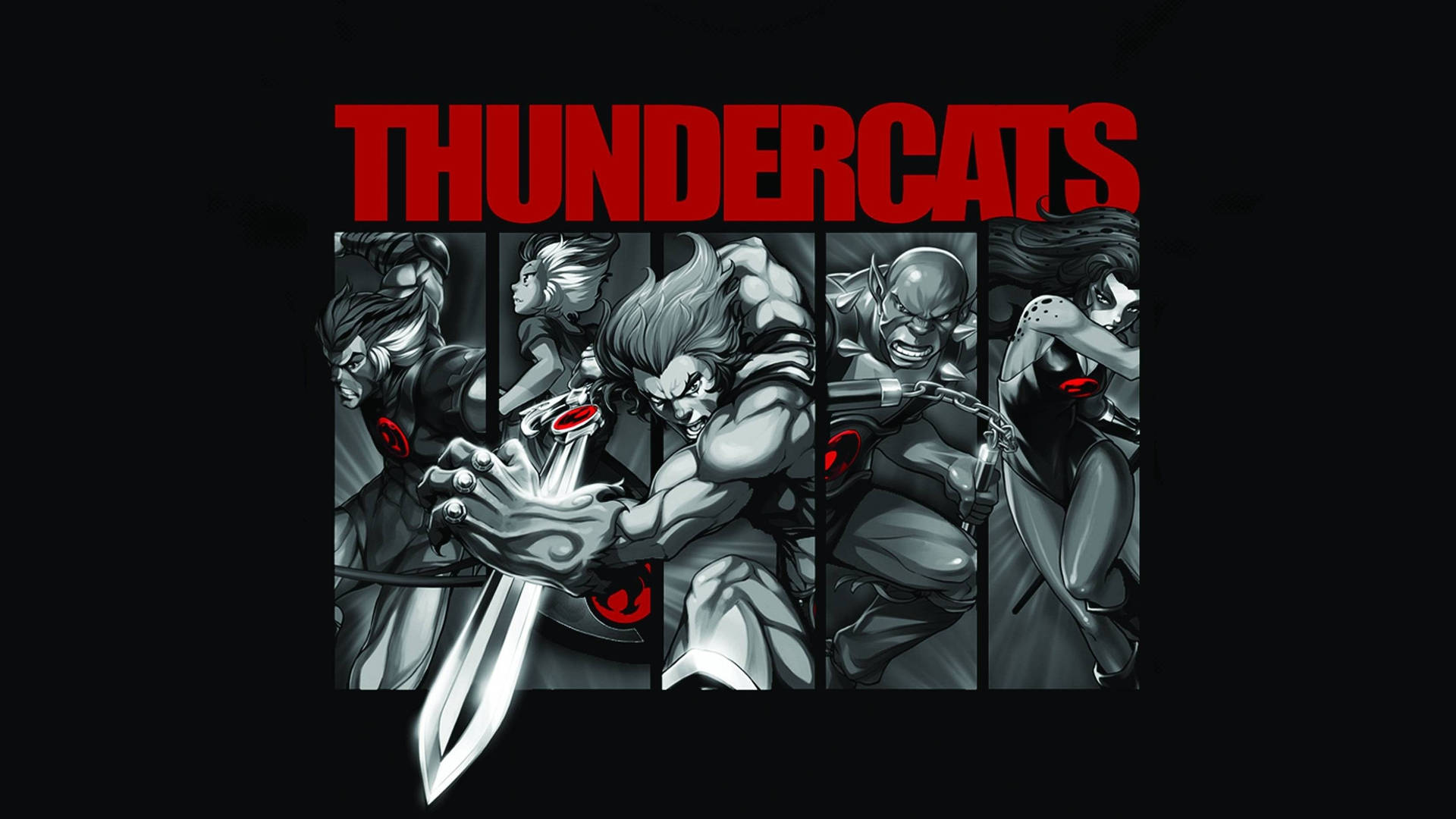 Animated Thundercats Series