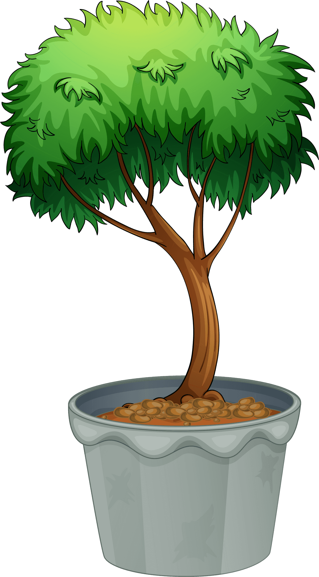 Animated Treein Plant Pot PNG