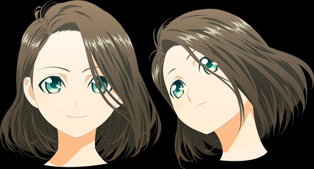 Animated Twin Faces Comparison PNG