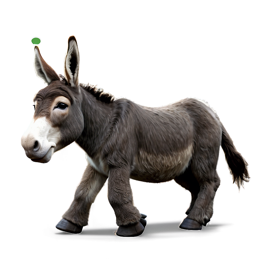 Animated Walking Donkey Png Hjp PNG