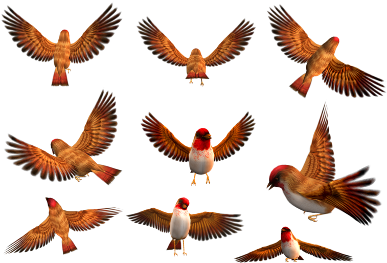 Animated_ Flock_of_ Birds_in_ Flight PNG