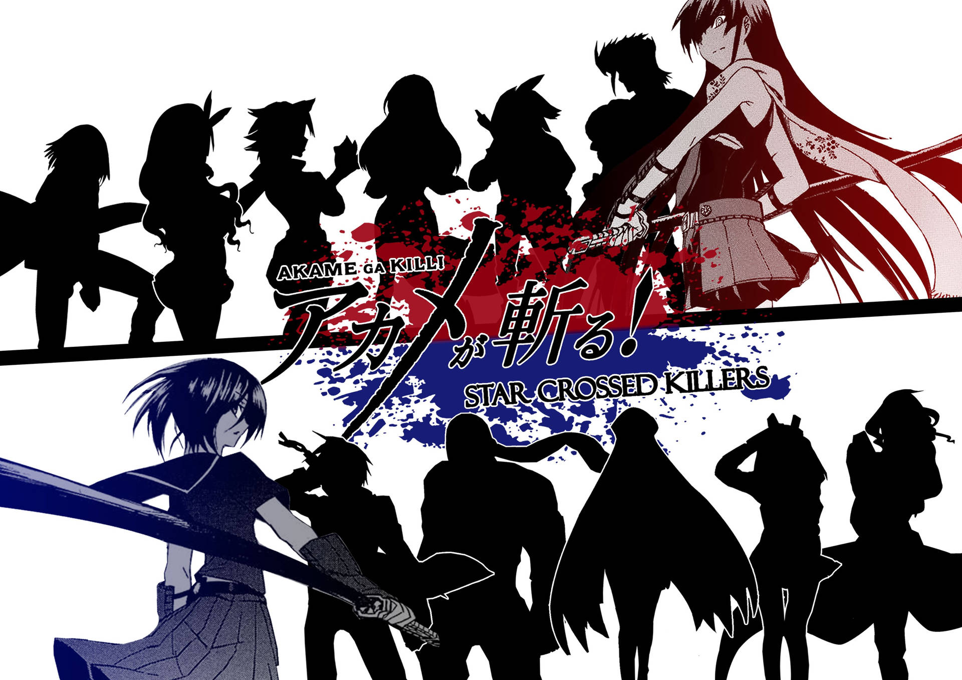 Follow Akame and her allies on their daring mission to overthrow the corrupt Empire Wallpaper