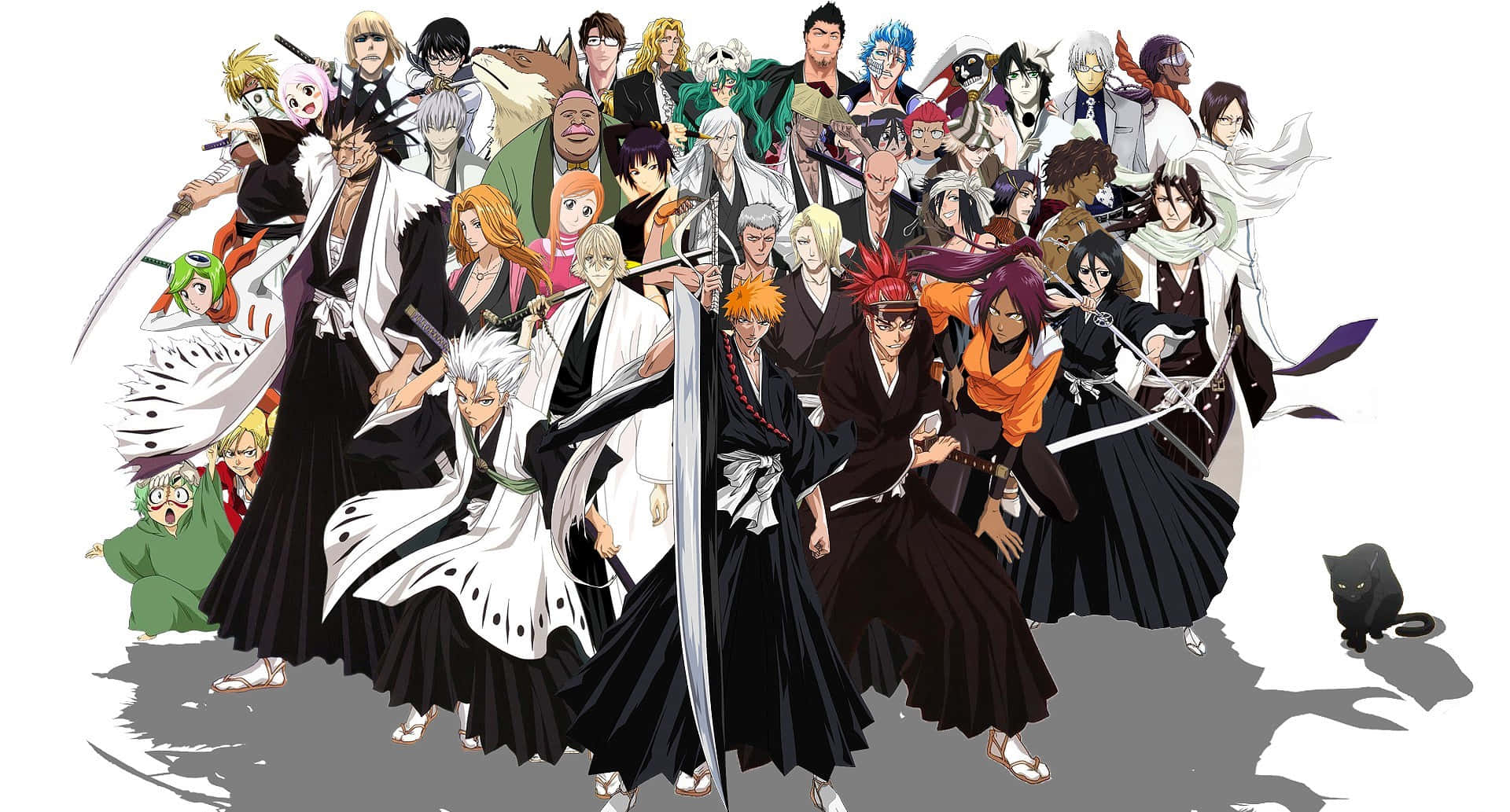 Ichigomit Bleach Anime, Alle Charaktere In Hd. Wallpaper