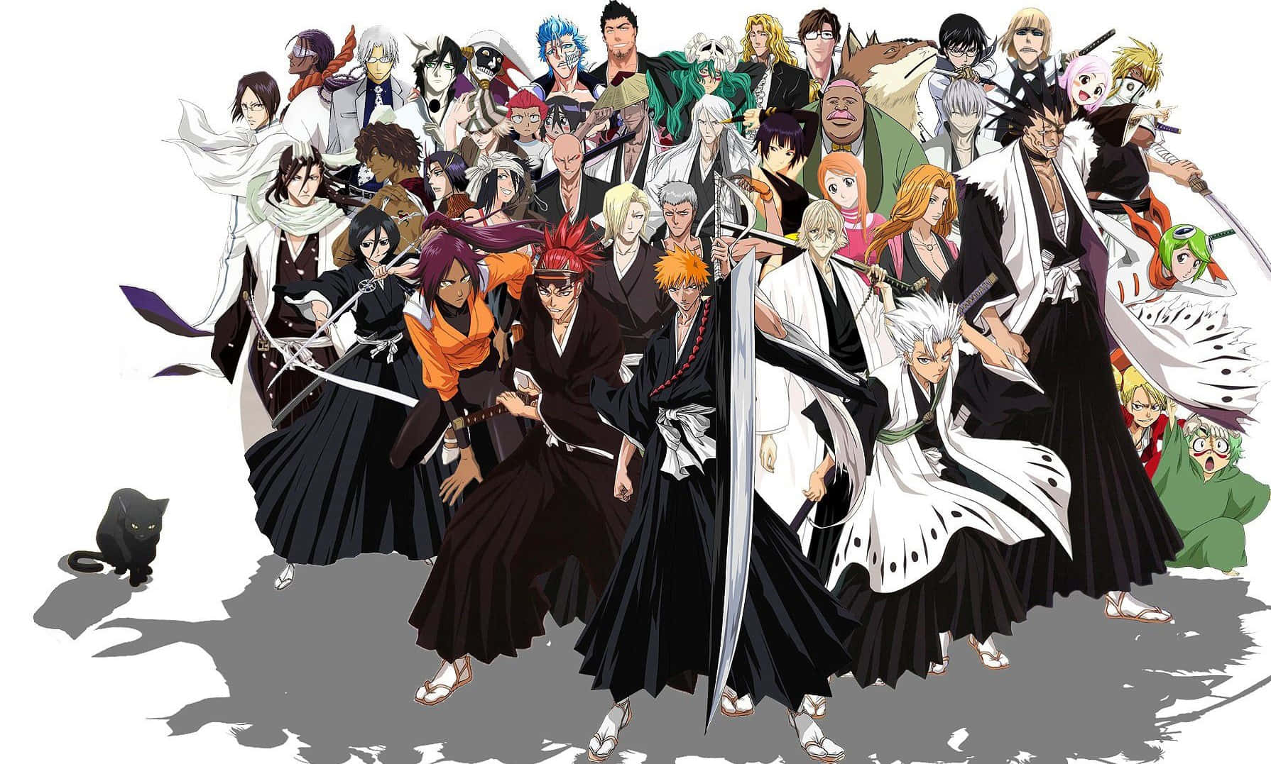Bleach Anime All Characters Hd Wallpaper