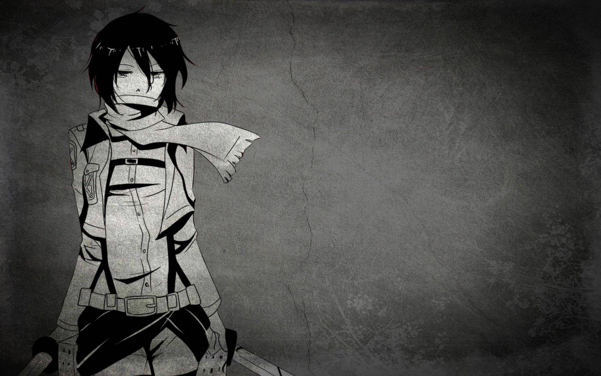 Anime Art Black And White Attack On Titan Mikasa Wallpaper
