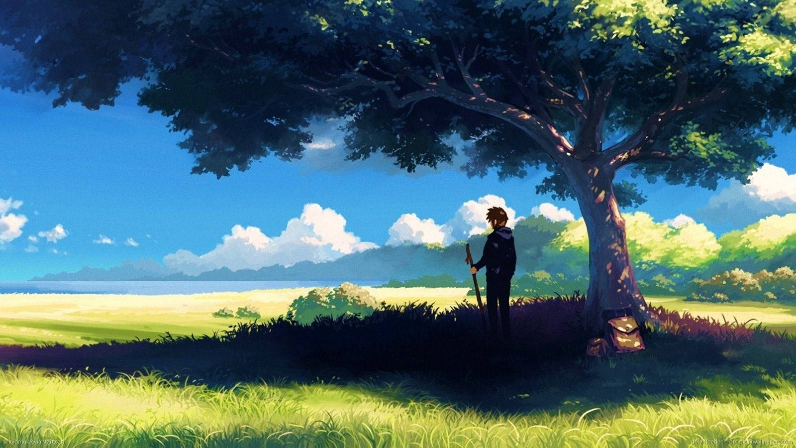 A young boy stands atop a majestic cliff, surrounded by nature. Wallpaper