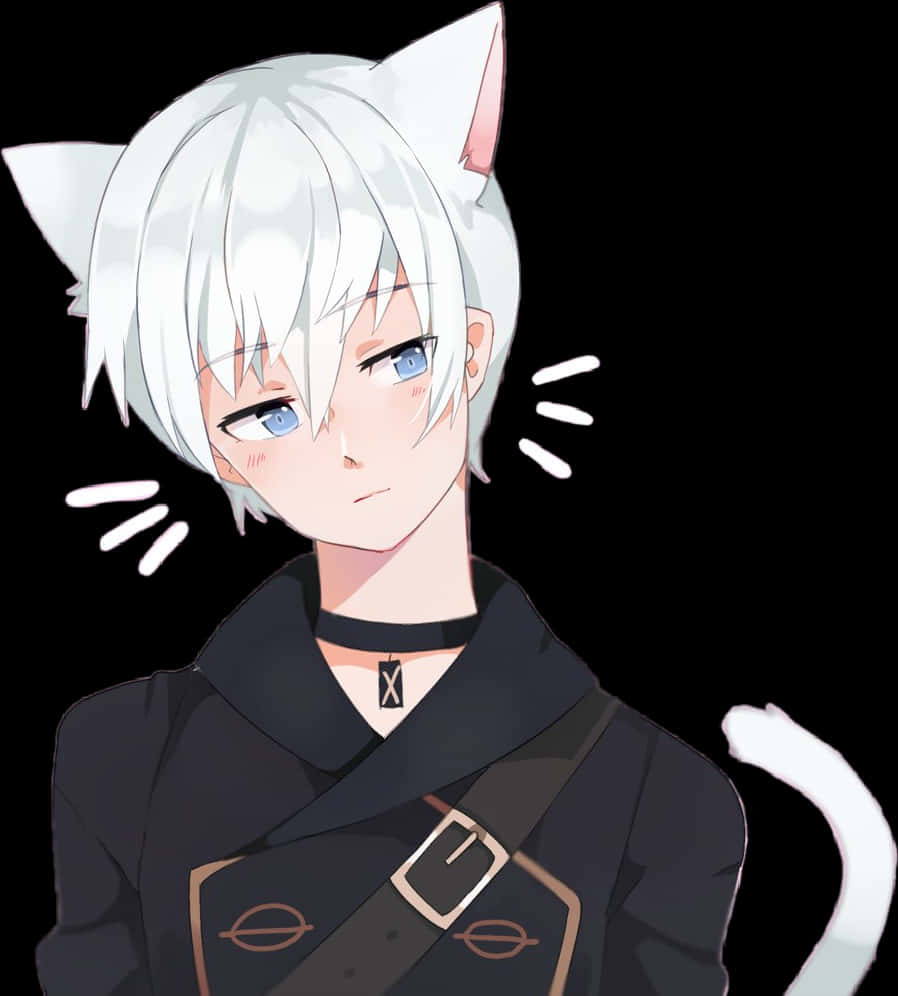 Anime Boy With White Hairand Cat Ears PNG