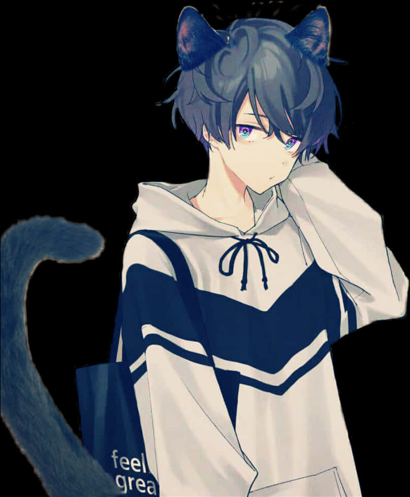 Anime Boywith Cat Earsand Tail PNG