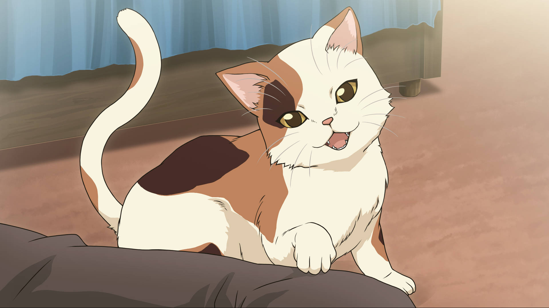 Anime Calico Cat Wallpaper