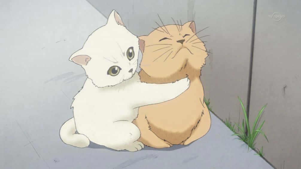 Fåen Glimt Av Denna Charmigt Lekfulla Anime-katt