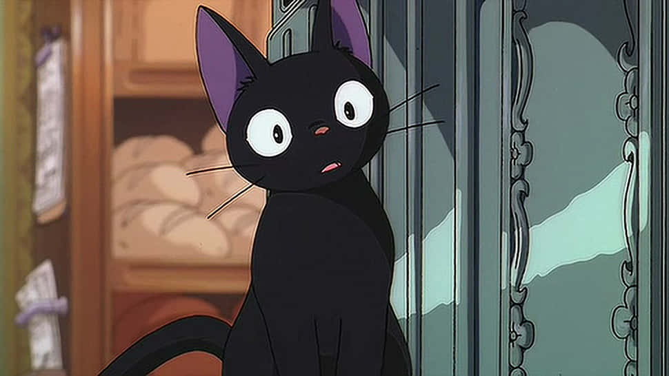 Enblåögd Anime-katt Njuter Av Solnedgången.