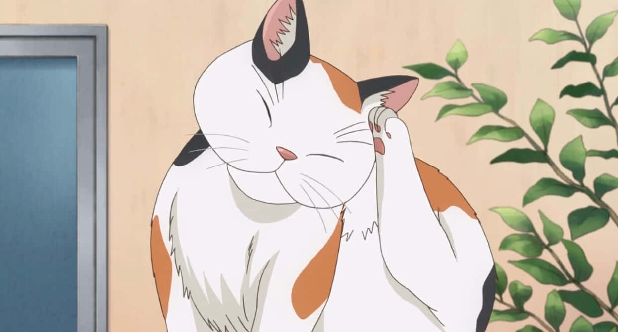 Såsöt Anime-katt Med Glasögon!