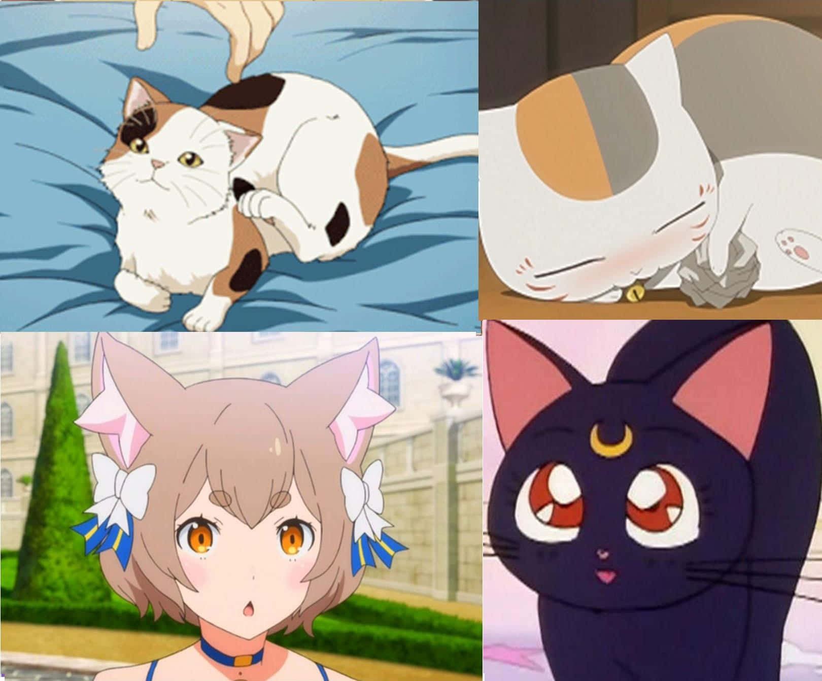 Uncollage De Gatos De Anime Con Diferentes Rostros