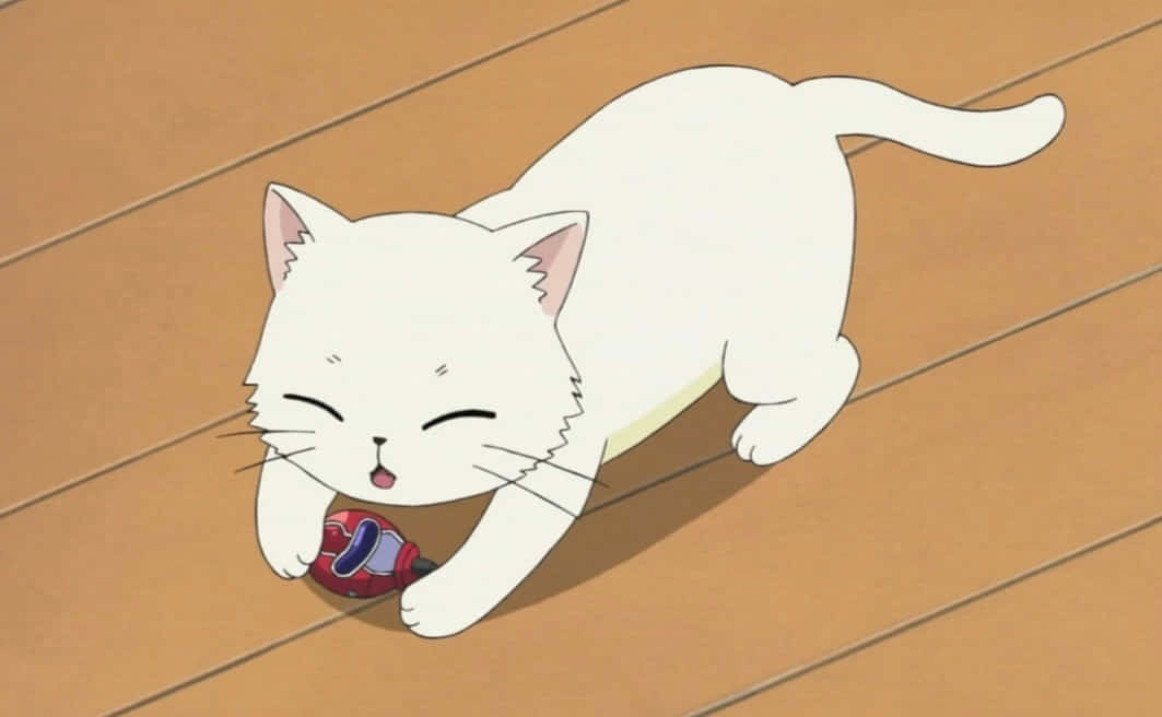 Unadorable Gato De Anime Se Va De Aventura.